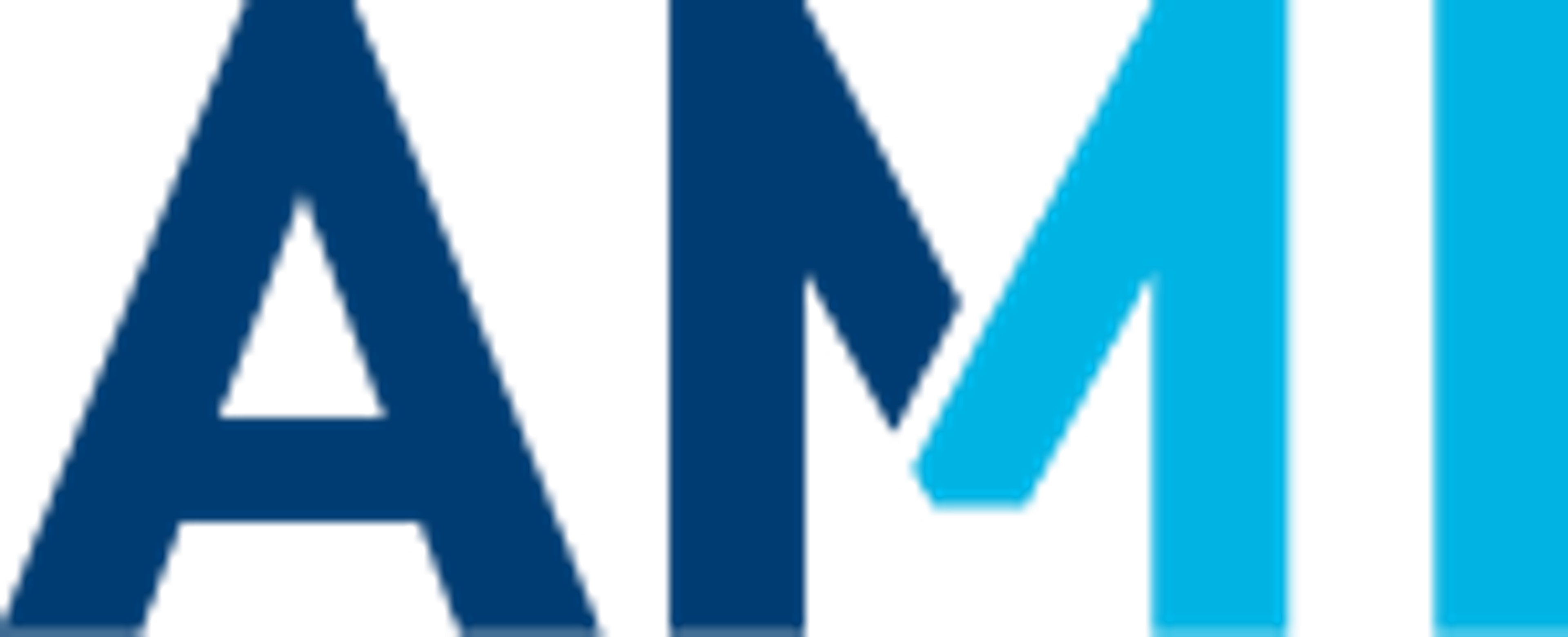 AMI Logo