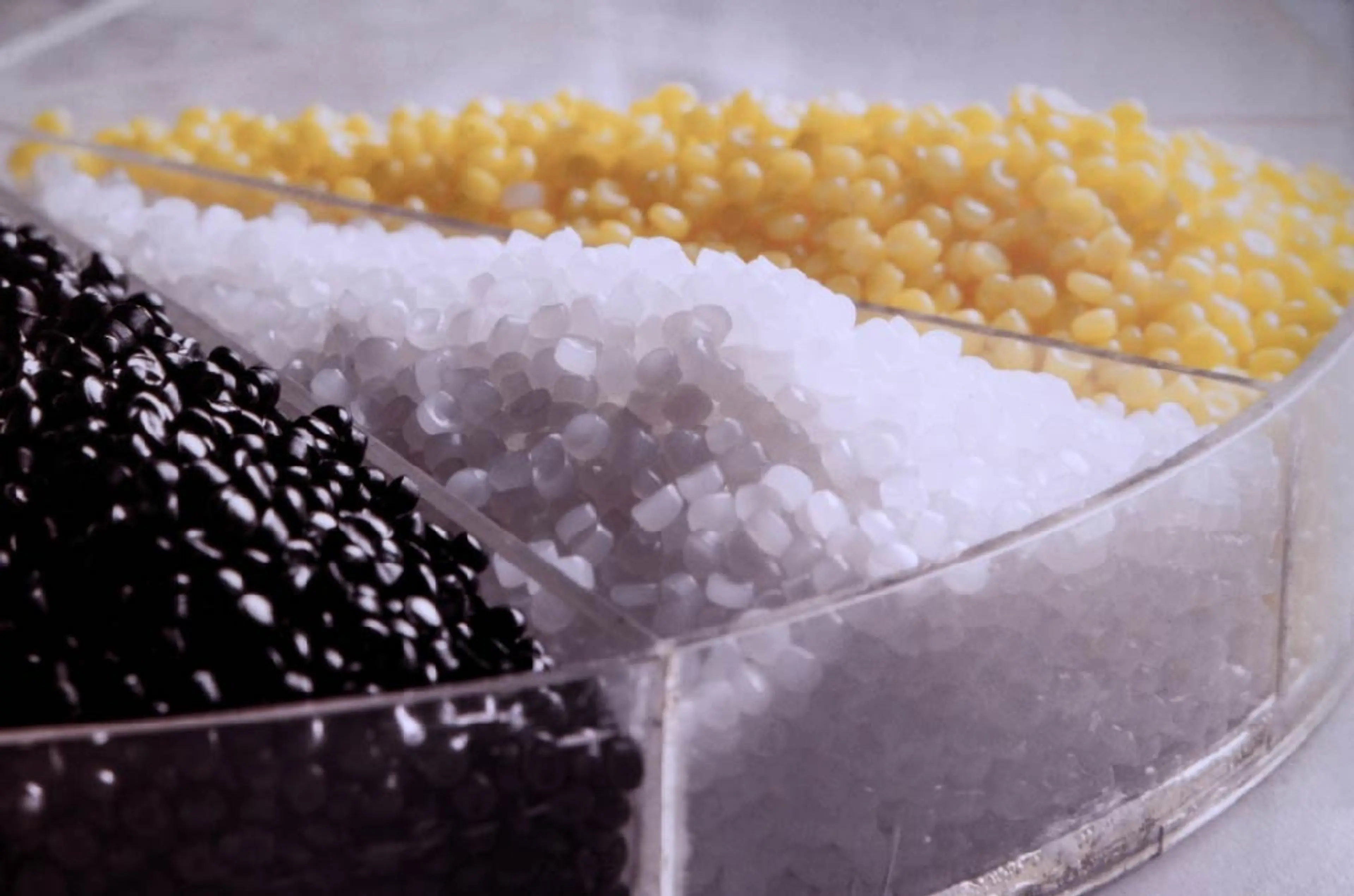 Black, yellow, and white pellets in petri dish