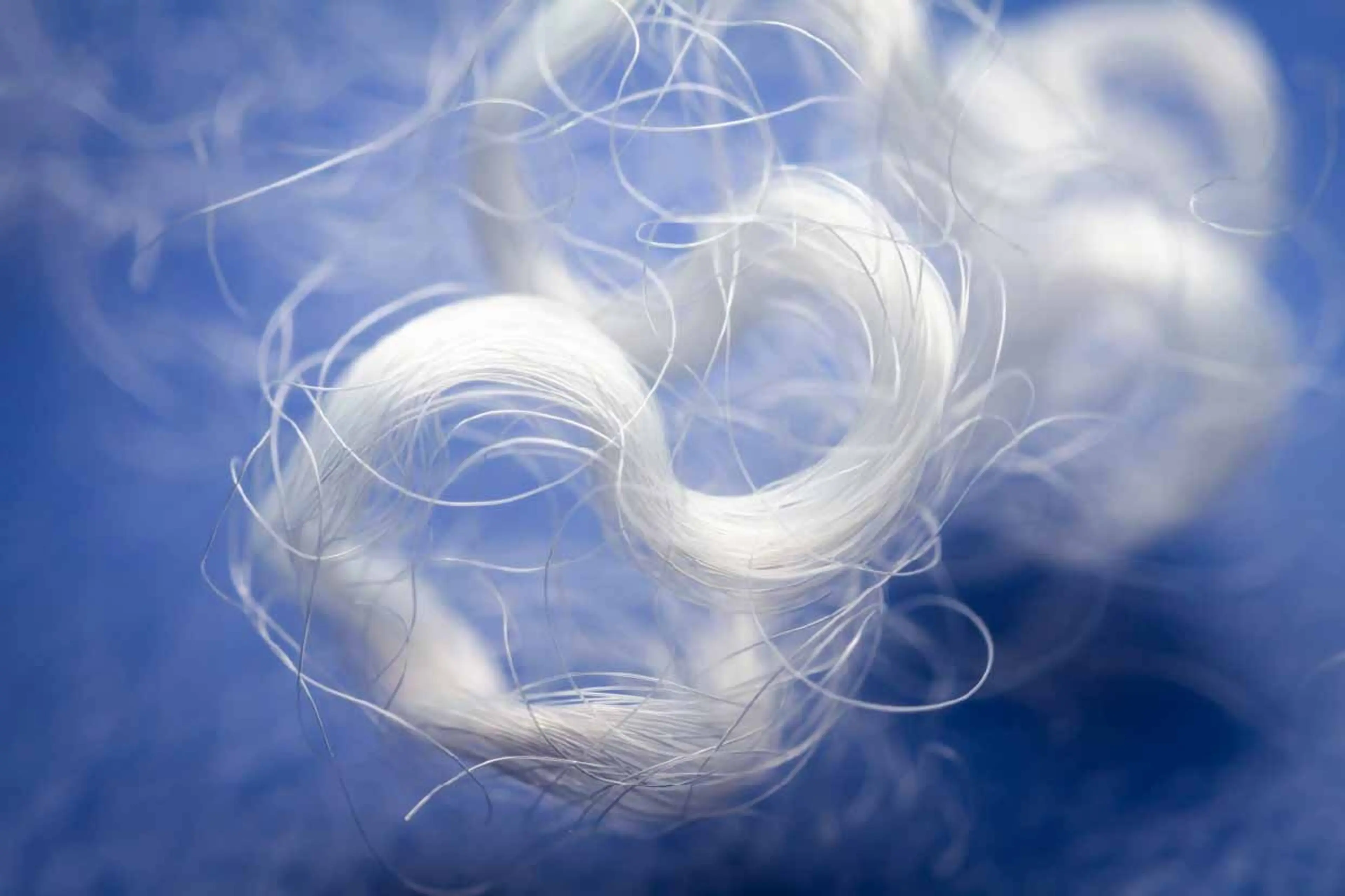 Close up of PET stable fibre on blue background